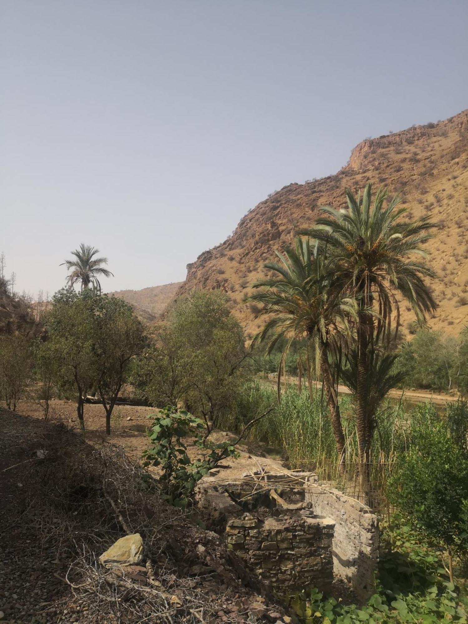 Auberge Kasbah Amoun Taliouine Exterior foto